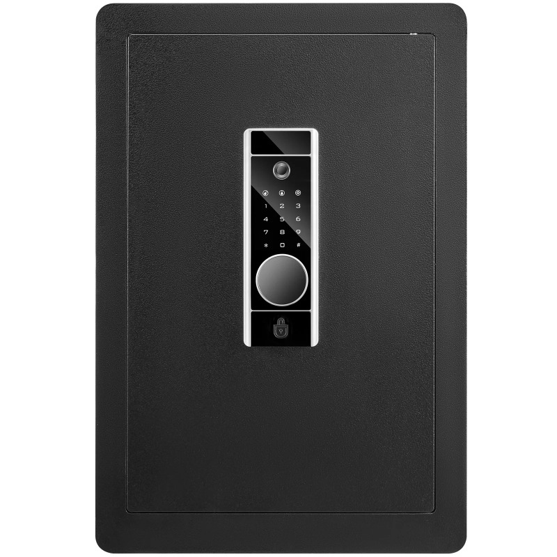 Fire Safe Document - SucceBuy 電気金庫 2.2/1.8立方フィート 指紋認証＆デジタルセキュリティキャビネット金庫 ジュエリー書類用耐火バッグ付き
