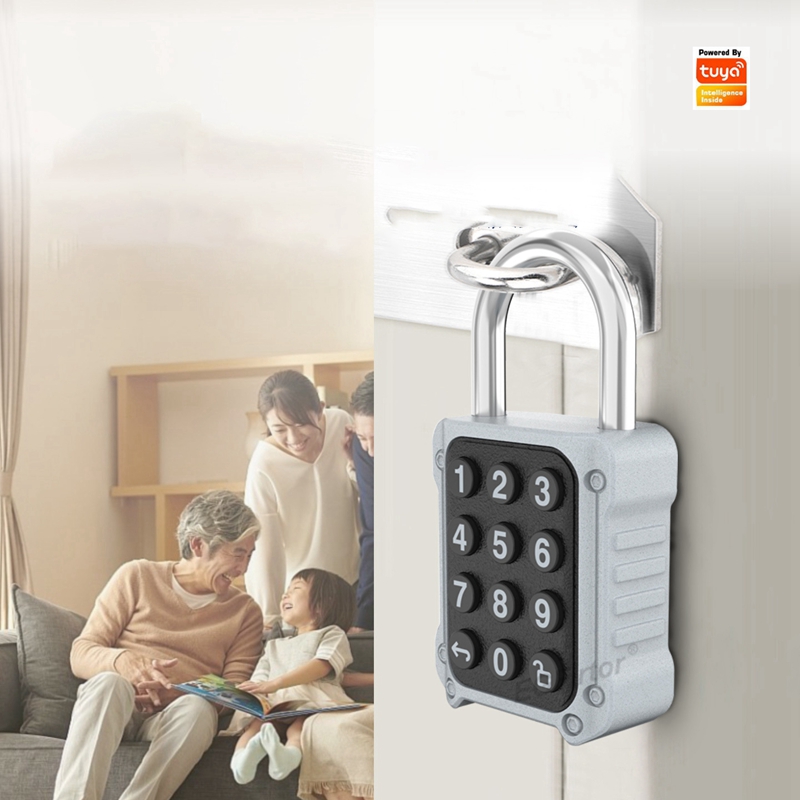 Lockbox Key Secure - EGFirtor Tuya APP 電子スマート南京錠パスワードドアロック、セキュリティ安全バッグボックス引き出し用の APP リモコン付き