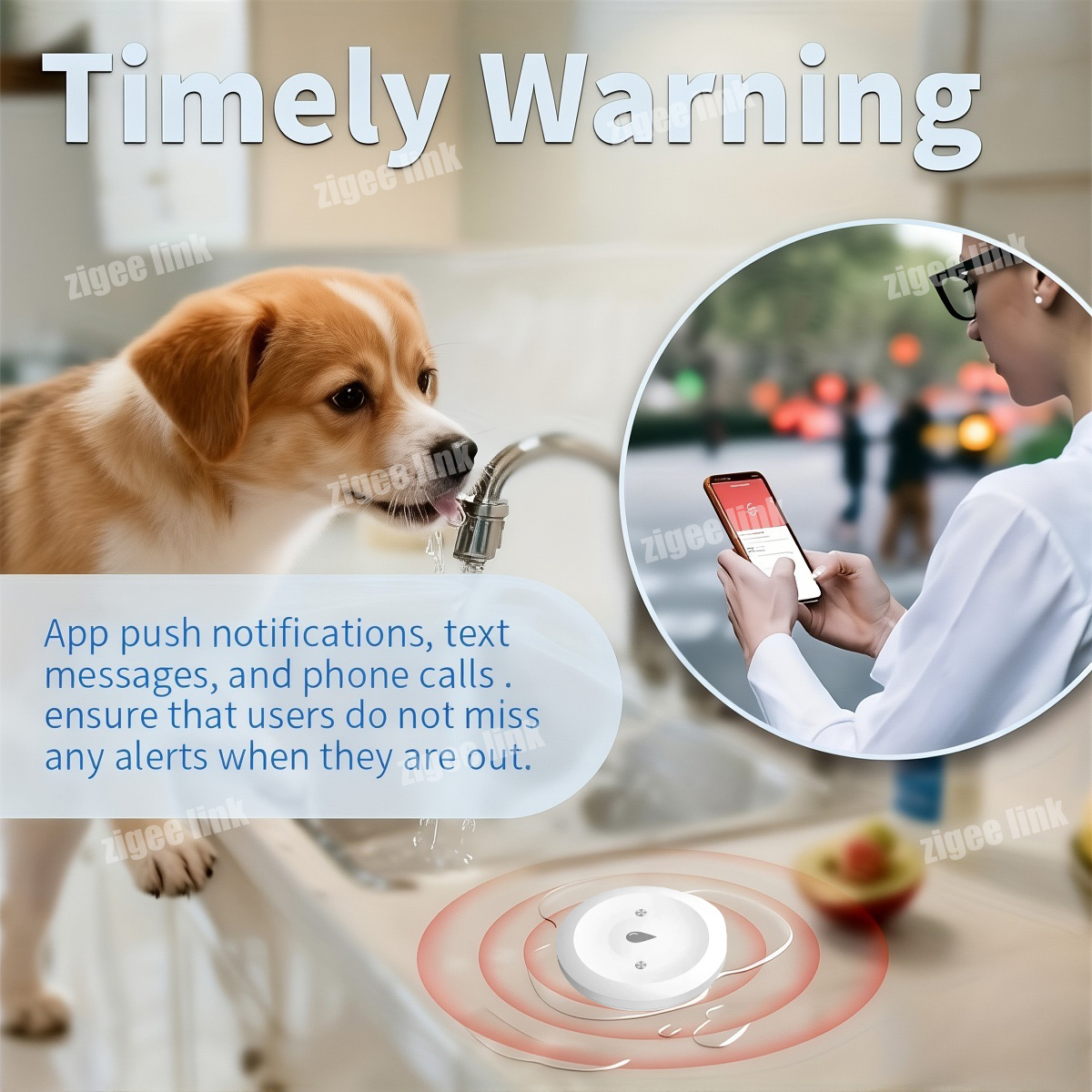 ZigBee 3.0 水センサー スマート漏水検知器 洪水漏 - Water Alarm Sensor のレビューと価格