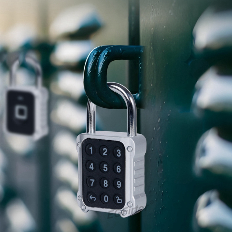 Tuya Bluetooth APP リモート電子スマート南 - Lockbox Key Secure のレビューと価格