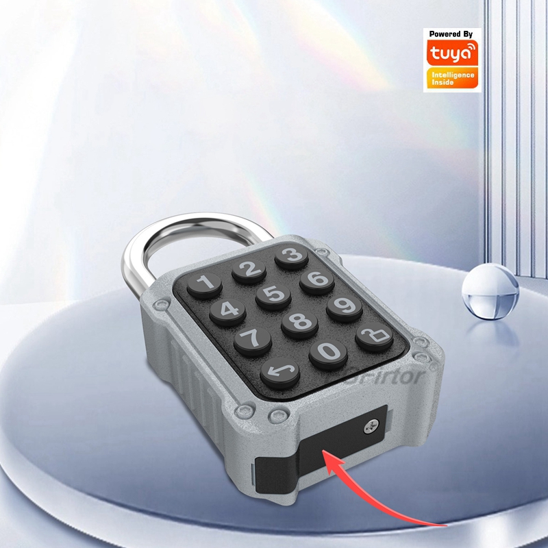 EGFirtor Tuya APP 電子スマート南京錠パスワ - Lockbox Key Secure のレビューと価格