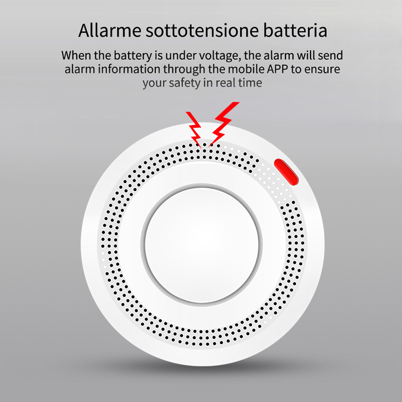 6パック Tuya WiFi スマート煙センサー Smart - Smoke Detector Interconnected のレビューと価格
